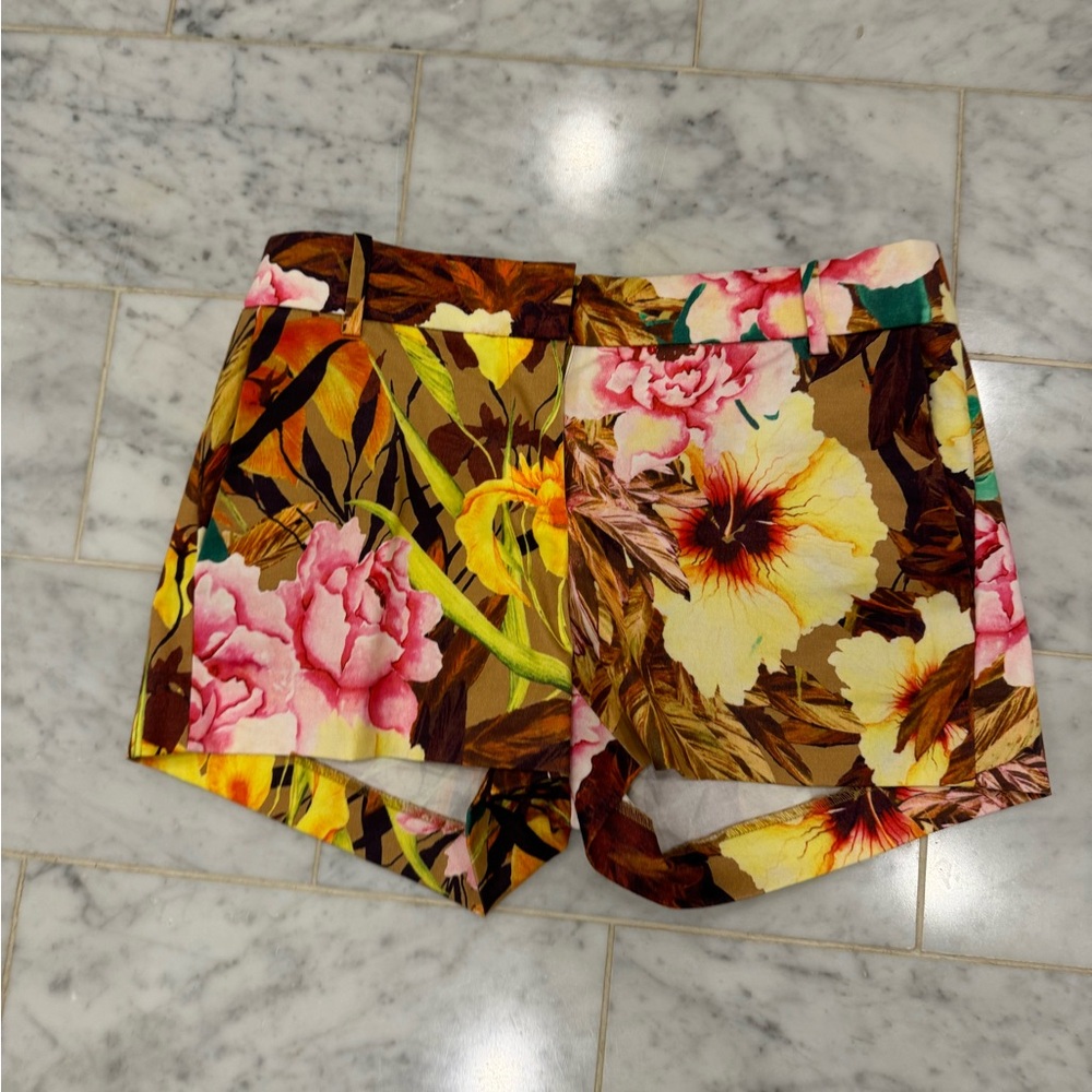 J Crew Shorts